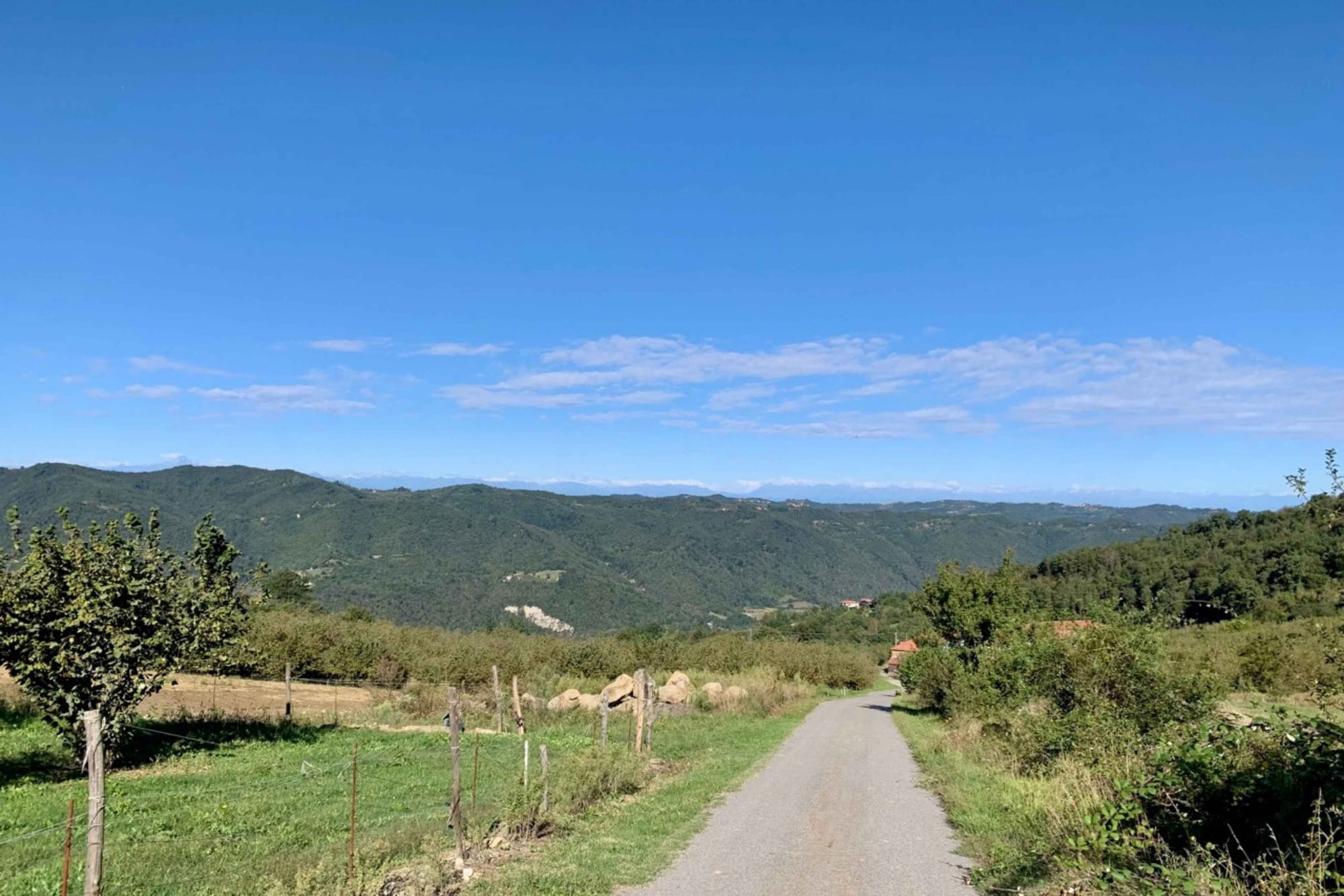 A sunny September day in Alta Langa with snow-capped peaks in the distance.