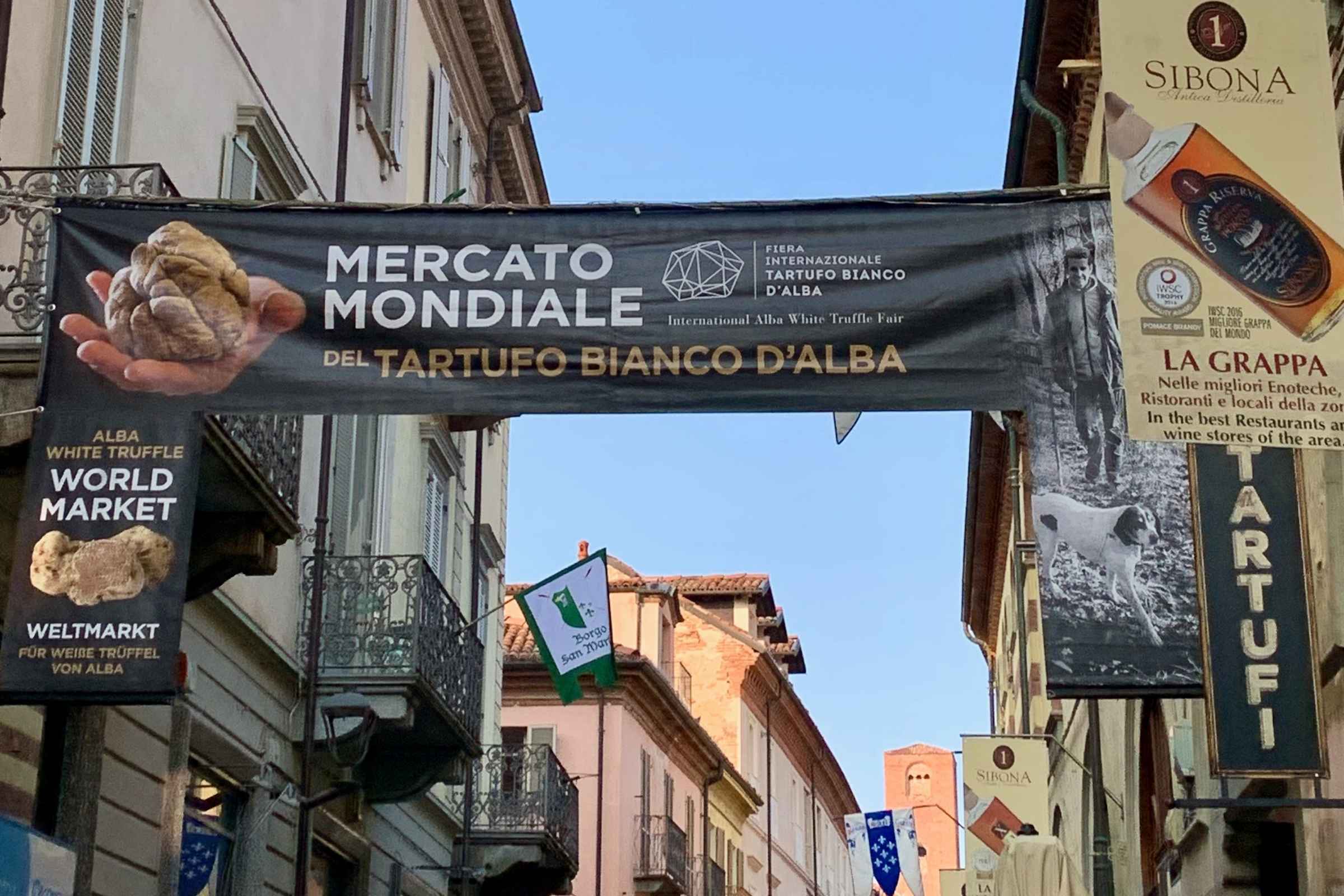 What I Learned at the Alba Truffle Fair 2025