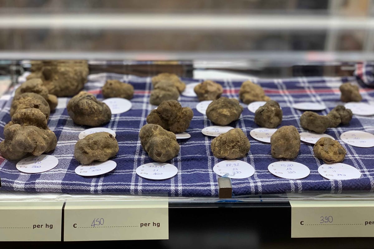 White truffles on sale at the Alba Truffle Fair 2025.