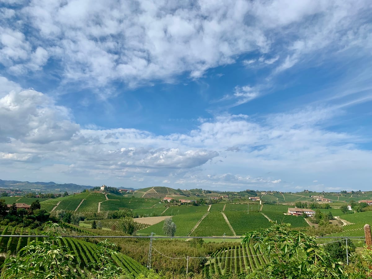 Langhe vineyards seen from Grinzane Cavour Castle.