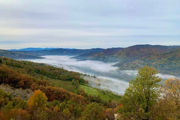A misty autumn morning in Alta Langa.