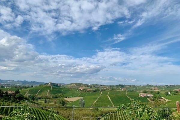 Barolo's rolling vineyards.