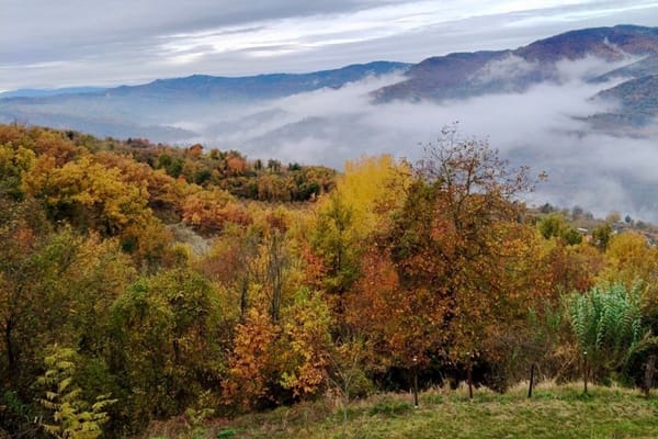 Autumn colours and misty hills in Alta Langa, Piedmont.