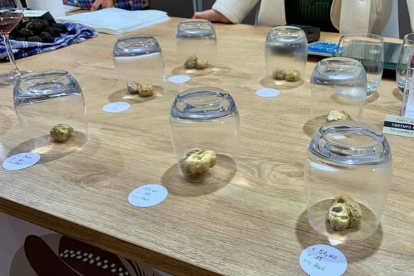 Alba white truffles on sale at the 2025 Alba truffle fair.
