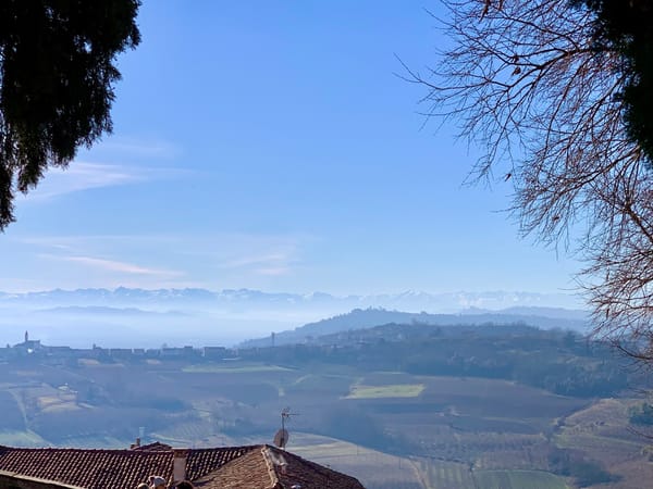 Roero's UNESCO-protected vineyards with snow-capped Alps in the background.